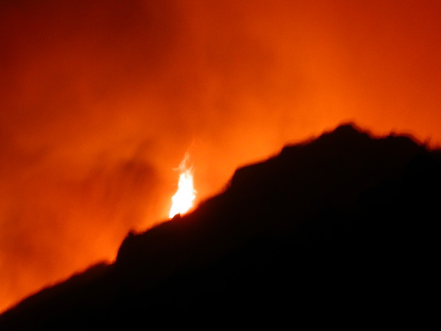 DSCN0050