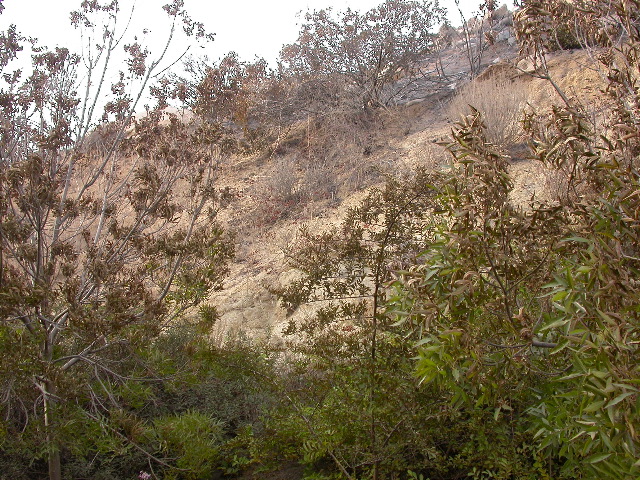 DSCN0094