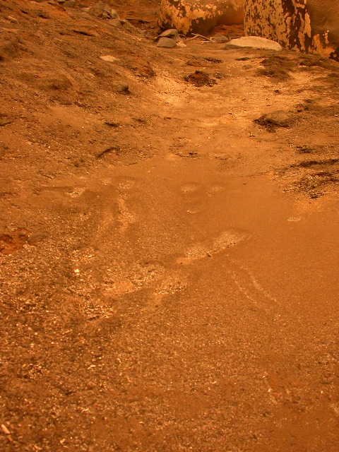 DSCN0082